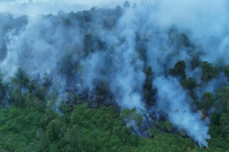 Kebakaran hutan dan lahan (Karhutla) di kawasan hutan Kec. sanga sanga. (Doc. Disdamkarmatan Kukar)