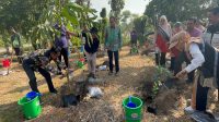 Wali Kota Balikpapan Rahmad Mas’ud bersama Bunda PAUD Balikpapan, Nurlena Rahmad Mas'ud, saat mekukan penanaman, Sabtu (22/8/2026)..(Dok.Istimewa)