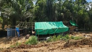 Teks Foto: Lokasi penambangan ilegal emas di Tabang. (Doc. Humas Polres Kukar)