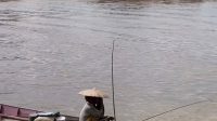 Surutnya air sungai belayan berdampak hasil tangkapan ikan warga setempat meningkat.(Istimewa)