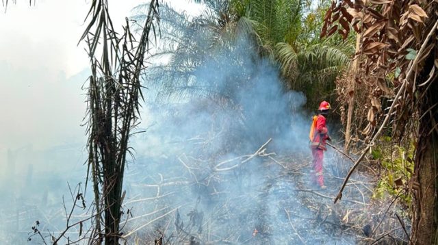 Anggota Damkar Muara Badak padamkan lahan yang terbakar, Senin (3/8/26). (Doc. Pos Damkar Sektor Muara Badak)