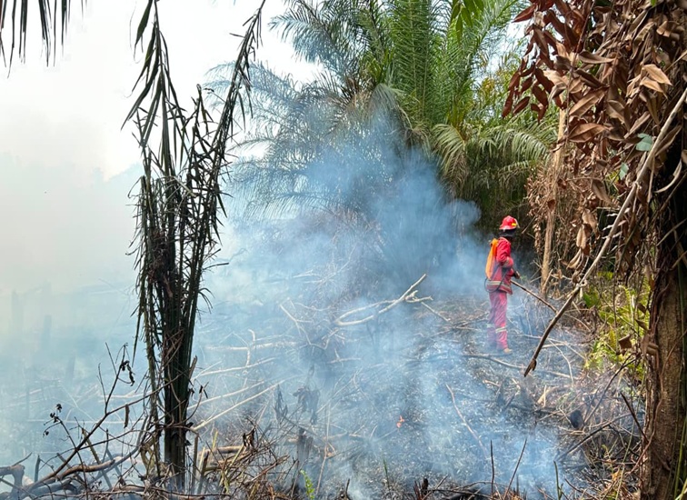 Anggota Damkar Muara Badak padamkan lahan yang terbakar, Senin (3/8/26). (Doc. Pos Damkar Sektor Muara Badak)
