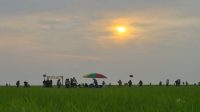 Suasana Danau Semayang dengan hamparan rumput hijau saat matahari mulai terbenam. (Istimewa)