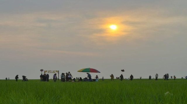 Suasana Danau Semayang dengan hamparan rumput hijau saat matahari mulai terbenam. (Istimewa)