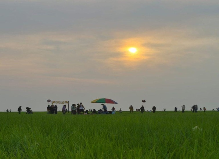 Suasana Danau Semayang dengan hamparan rumput hijau saat matahari mulai terbenam. (Istimewa)