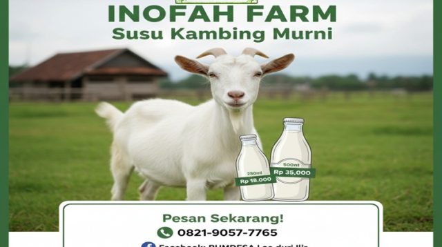 Flyer Penjualan Susu Kambing Bumdes Loa Duri Ilir. (Doc. Bumdes Loa Duri Ilir)
