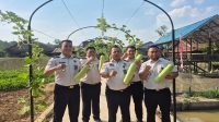 Kalapas Kelas IIA Tenggarong I Wayan Nurasta Wibawa bersama jajaran memetik labu putih di lahan Sarana Asimilasi dan Edukasi (SAE) Pastarung, Tenggarong. (Doc. Humas Lapas Kelas IIA Tenggarong)
