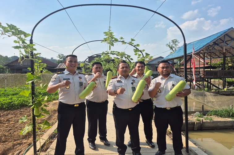 Kalapas Kelas IIA Tenggarong I Wayan Nurasta Wibawa bersama jajaran memetik labu putih di lahan Sarana Asimilasi dan Edukasi (SAE) Pastarung, Tenggarong. (Doc. Humas Lapas Kelas IIA Tenggarong)