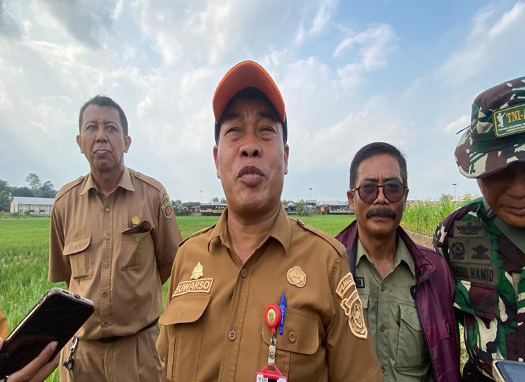 Plt Kepala Dinas Lingkungan Hidup (DLH) Kota Samarinda, Suwarso. (Devi/Lingkarkaltim)