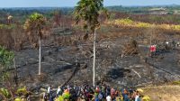 Otorita IKN bersama Kementerian Kehutanan, Badan Nasional Penanggulangan Bencana (BNPB), TNI/Polri dan Pemerintah Daerah Kalimantan Timur melakukan peninjauan lokasi bekas karhutla di kawasan Bukit Tengkorak, termasuk yang berada di wilayah Taman Hutan Raya Bukit Soeharto, Senin (14/9/2026). (dok. Otorita IKN)