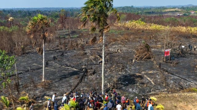 Otorita IKN bersama Kementerian Kehutanan, Badan Nasional Penanggulangan Bencana (BNPB), TNI/Polri dan Pemerintah Daerah Kalimantan Timur melakukan peninjauan lokasi bekas karhutla di kawasan Bukit Tengkorak, termasuk yang berada di wilayah Taman Hutan Raya Bukit Soeharto, Senin (14/9/2026). (dok. Otorita IKN)