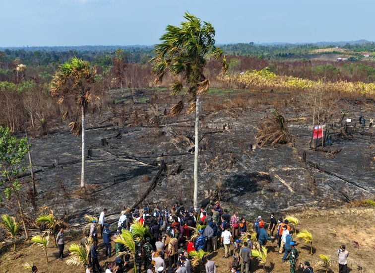 Otorita IKN bersama Kementerian Kehutanan, Badan Nasional Penanggulangan Bencana (BNPB), TNI/Polri dan Pemerintah Daerah Kalimantan Timur melakukan peninjauan lokasi bekas karhutla di kawasan Bukit Tengkorak, termasuk yang berada di wilayah Taman Hutan Raya Bukit Soeharto, Senin (14/9/2026). (dok. Otorita IKN)