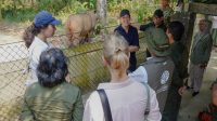 Menteri Kehutanan Raja Juli Antoni bersama Duta Besar Norwegia untuk Indonesia Kaja Glomm mengunjungi Taman Nasional Way Kambas (TNWK), Lampung, Minggu (20/9/26). (Dok. Kemenhut)