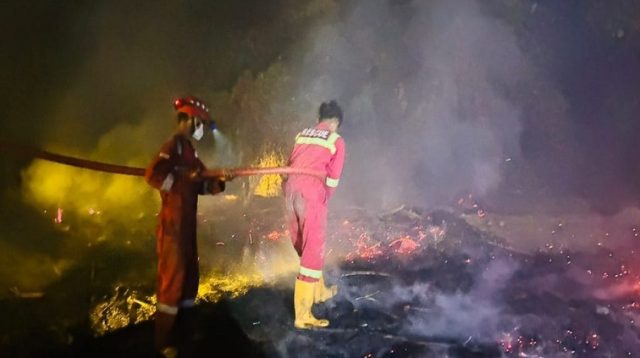 Petugas Damkar Kukar yang berjibaku dengan karhutla di Sanga-Sanga. (Disdamkarmatan Kukar)