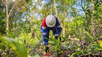 Elnusa kembali memperoleh kepercayaan dari pelanggan di luar Pertamina Group untuk melaksanakan dua proyek Survei Seismik 3D dengan total area sekitar 150 km² di Kabupaten Musi Banyuasin.(Dok.Elnusa)