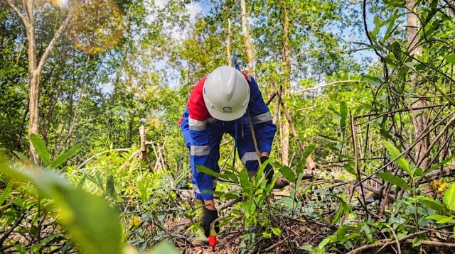 Elnusa kembali memperoleh kepercayaan dari pelanggan di luar Pertamina Group untuk melaksanakan dua proyek Survei Seismik 3D dengan total area sekitar 150 km² di Kabupaten Musi Banyuasin.(Dok.Elnusa)