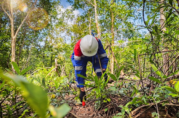 Elnusa kembali memperoleh kepercayaan dari pelanggan di luar Pertamina Group untuk melaksanakan dua proyek Survei Seismik 3D dengan total area sekitar 150 km² di Kabupaten Musi Banyuasin.(Dok.Elnusa)