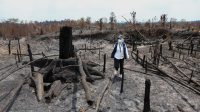 Deputi Bidang Lingkungan Hidup dan Sumber Daya Alam Otorita IKN, Myrna A. Safitri di lokasi bekas kebakaran di Bukit Tengkorak, Desa Suko Mulyo, Kecamatan Sepaku, Kalimantan Timur pada Sabtu (05/09/2026). (Dok. Otorita IKN)