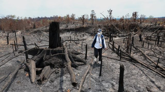 Deputi Bidang Lingkungan Hidup dan Sumber Daya Alam Otorita IKN, Myrna A. Safitri di lokasi bekas kebakaran di Bukit Tengkorak, Desa Suko Mulyo, Kecamatan Sepaku, Kalimantan Timur pada Sabtu (05/09/2026). (Dok. Otorita IKN)