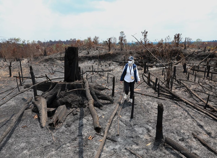 Deputi Bidang Lingkungan Hidup dan Sumber Daya Alam Otorita IKN, Myrna A. Safitri di lokasi bekas kebakaran di Bukit Tengkorak, Desa Suko Mulyo, Kecamatan Sepaku, Kalimantan Timur pada Sabtu (05/09/2026). (Dok. Otorita IKN)