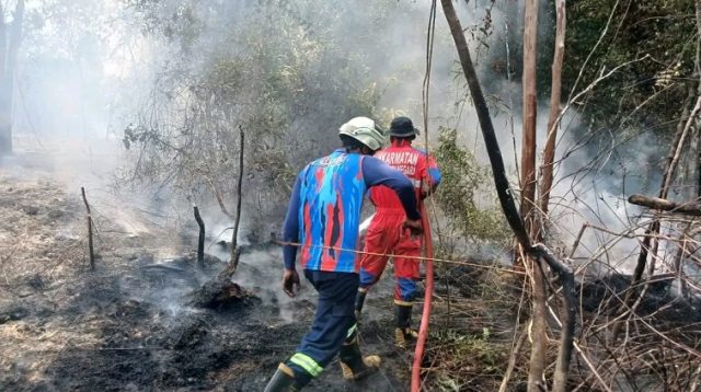 Kondisi Karhutla di Wilayah Kecamatan Muara Kaman.(Dok.Disdamkarmatan Kukar)