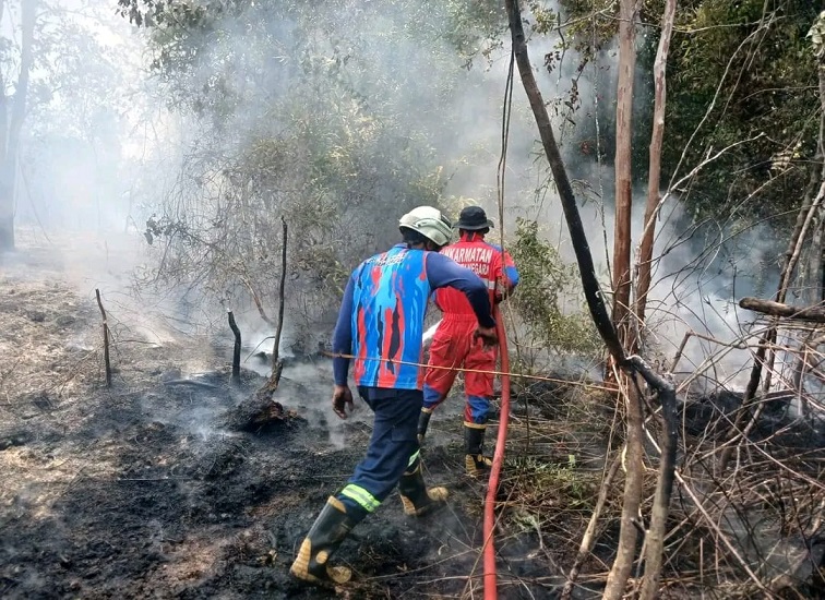 Kondisi Karhutla di Wilayah Kecamatan Muara Kaman.(Dok.Disdamkarmatan Kukar)