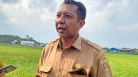 nokek Plt Kepala Bidang Tanaman Pangan, Hortikultura, dan Perkebunan Distapangtani Kota Samarinda Noke Pattipawaej.(Foto:Devi)