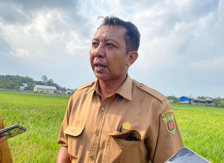 Plt Kepala Bidang Tanaman Pangan, Hortikultura, dan Perkebunan Distapangtani Kota Samarinda Noke Pattipawaej.(Foto:Devi)