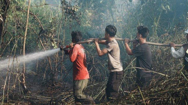 Upaya pemadaman kebakaran hutan dan lahan.(Foto:Humas Pemprov Kaltim)