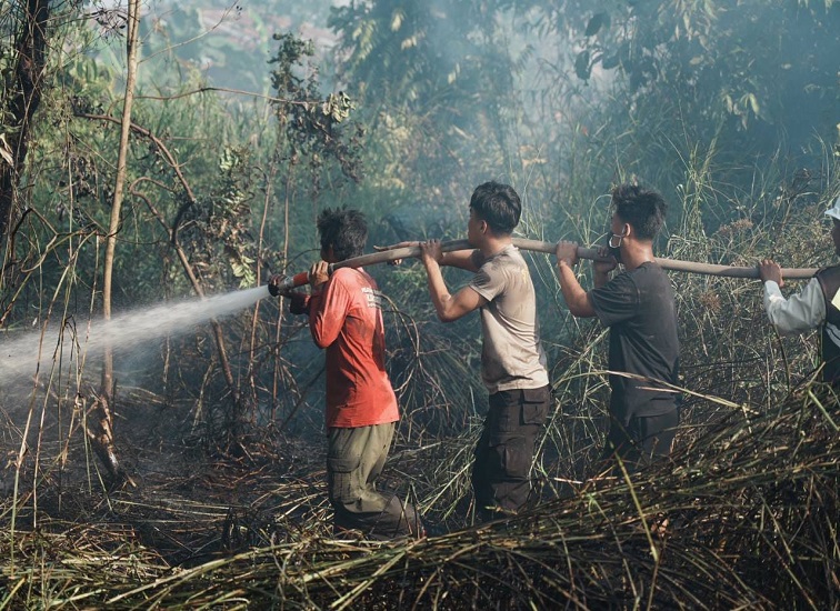 Upaya pemadaman kebakaran hutan dan lahan.(Foto:Humas Pemprov Kaltim)