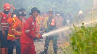 Pengendalian kebakaran hutan dan lahan (karhutla) di kawasan Nusantara.(Foto:Otorita IKN)