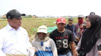 Menteri Pertanian (Mentan) Andi Amran Sulaiman bersama petani Karawang. (Dok. Kementerian Pertanian)