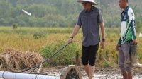 Bupati Kukar dr. Aulia Rahman Basri saat mencoba teknologi pertanian yang dikembangkan oleh petani Desa Manunggal Jaya Kecamatan Tenggarong Seberang. (foto:Achmad)
