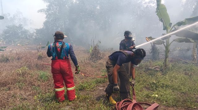 Proses Pemadaman Karhutla di Wilayah Kecamatan Muara Jawa (Dok. Damkarmatan Kukar)