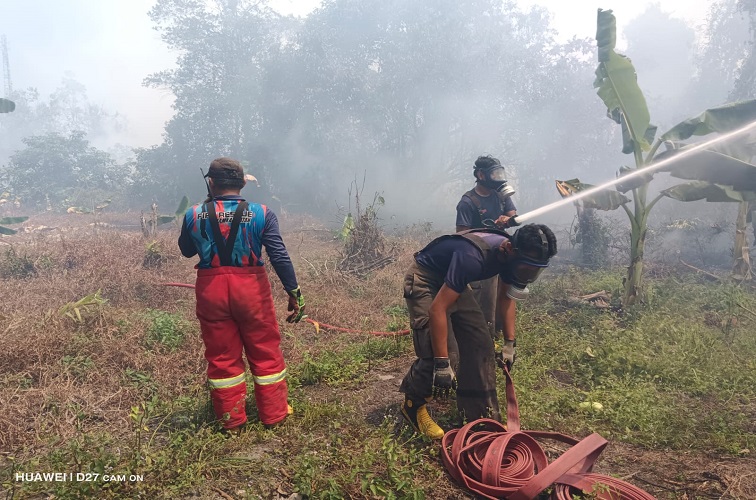 Proses Pemadaman Karhutla di Wilayah Kecamatan Muara Jawa (Dok. Damkarmatan Kukar)