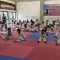 Proses Latihan Atleti Taekwondo Kukar (Dok.Taekwondo Kukar)