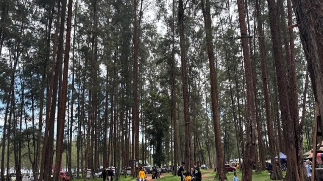 Pantai Tanah Merah, Kecamatan Samboja. (Istimewa)