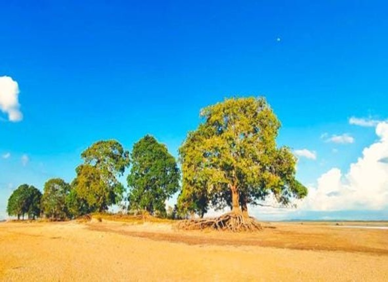 Objek Wisata Tanjung Halat Desa Sangkuliman, Kecamatan Kota Bangun. (Istimewa)