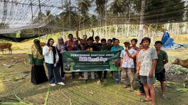 Penyaluran bantuan sapir ke kelompok ternak di Berau.(Nadzriel)