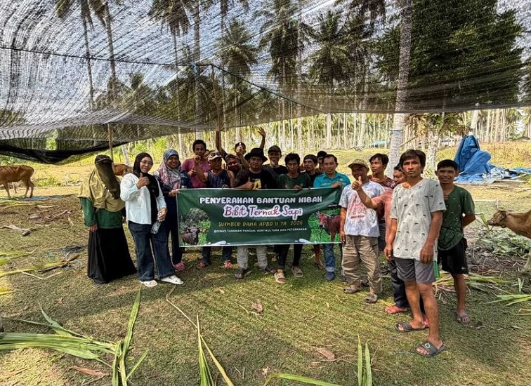 Penyaluran bantuan sapir ke kelompok ternak di Berau.(Nadzriel)