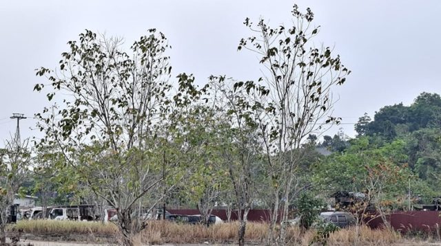 Gudang Penyimpanan Kendaraan Sementara, Tenggarong Seberang. (Dilla/lingkarkaltim)