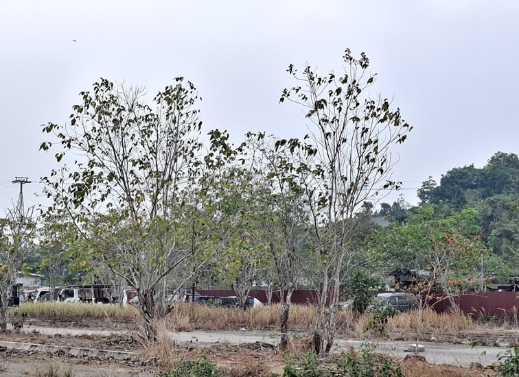 Gudang Penyimpanan Kendaraan Sementara, Tenggarong Seberang. (Dilla/lingkarkaltim)
