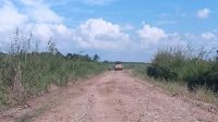 Kondisi Jalan Tanjung Karas, Kec. Muara Kaman. (Doc. Pemdes Benua Puhun)