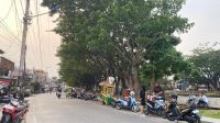 Jalan Tarmidi, Sungai Pinang Dalam.(Devi/Lingkarkaltim)