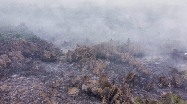 Karhutla di Wilayah Kecamatan Muara Muntai (Dok. Relawan Damkar Kukar)