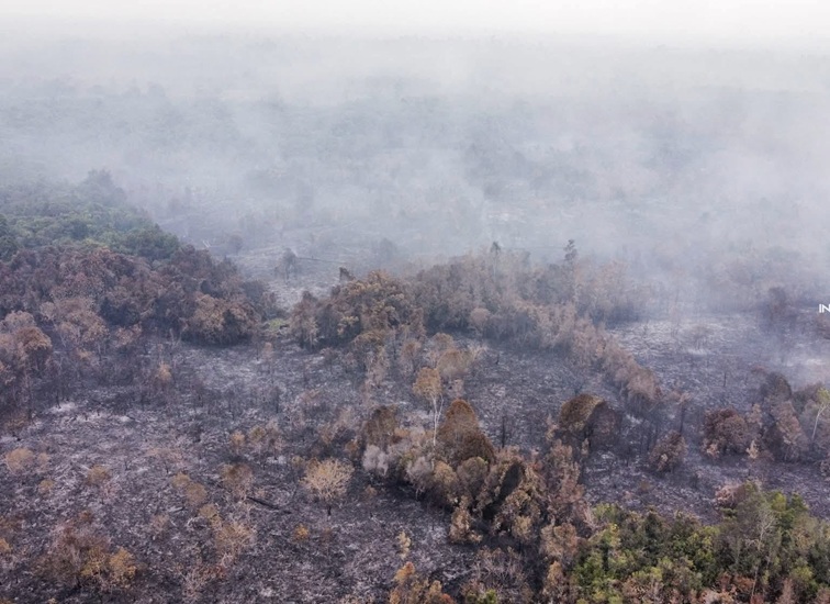 Karhutla di Wilayah Kecamatan Muara Muntai (Dok. Relawan Damkar Kukar)