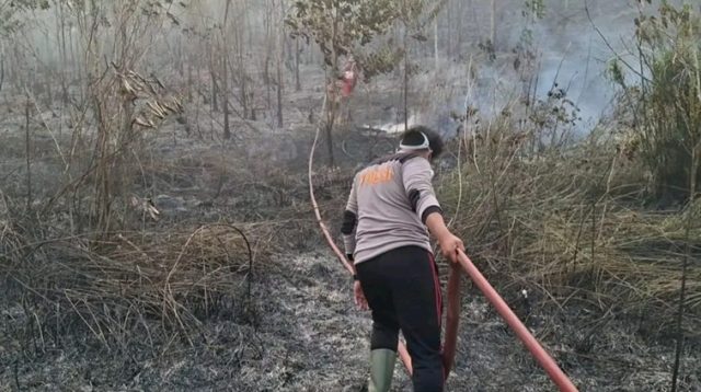 Kebakaran Lahan dan Hutan di Samboja (Dok. Camat Samboja Damsik)