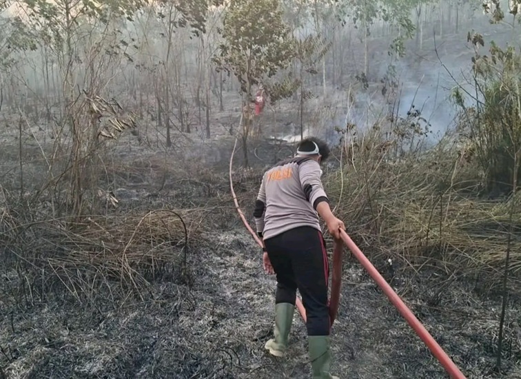 Kebakaran Lahan dan Hutan di Samboja (Dok. Camat Samboja Damsik)